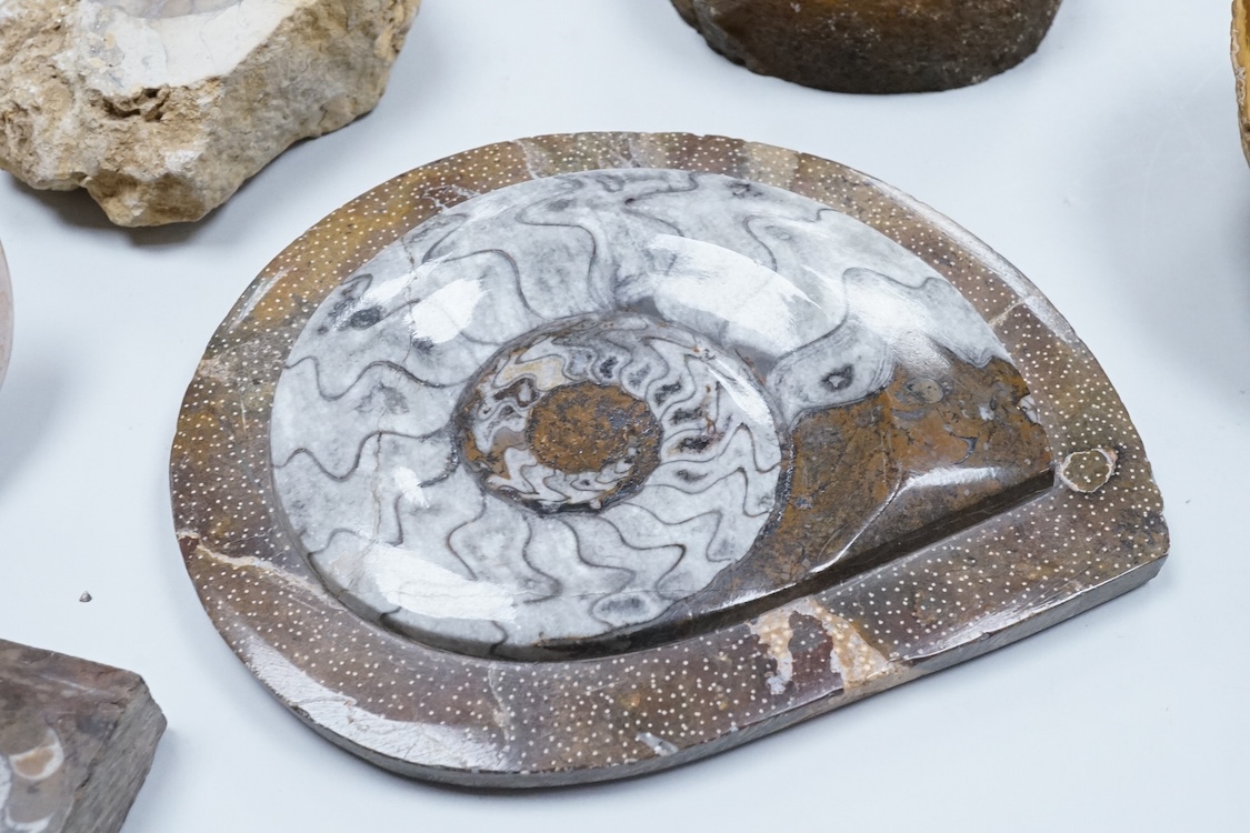 Natural history interest, comprising four ammonites, a fossil and two gemstones